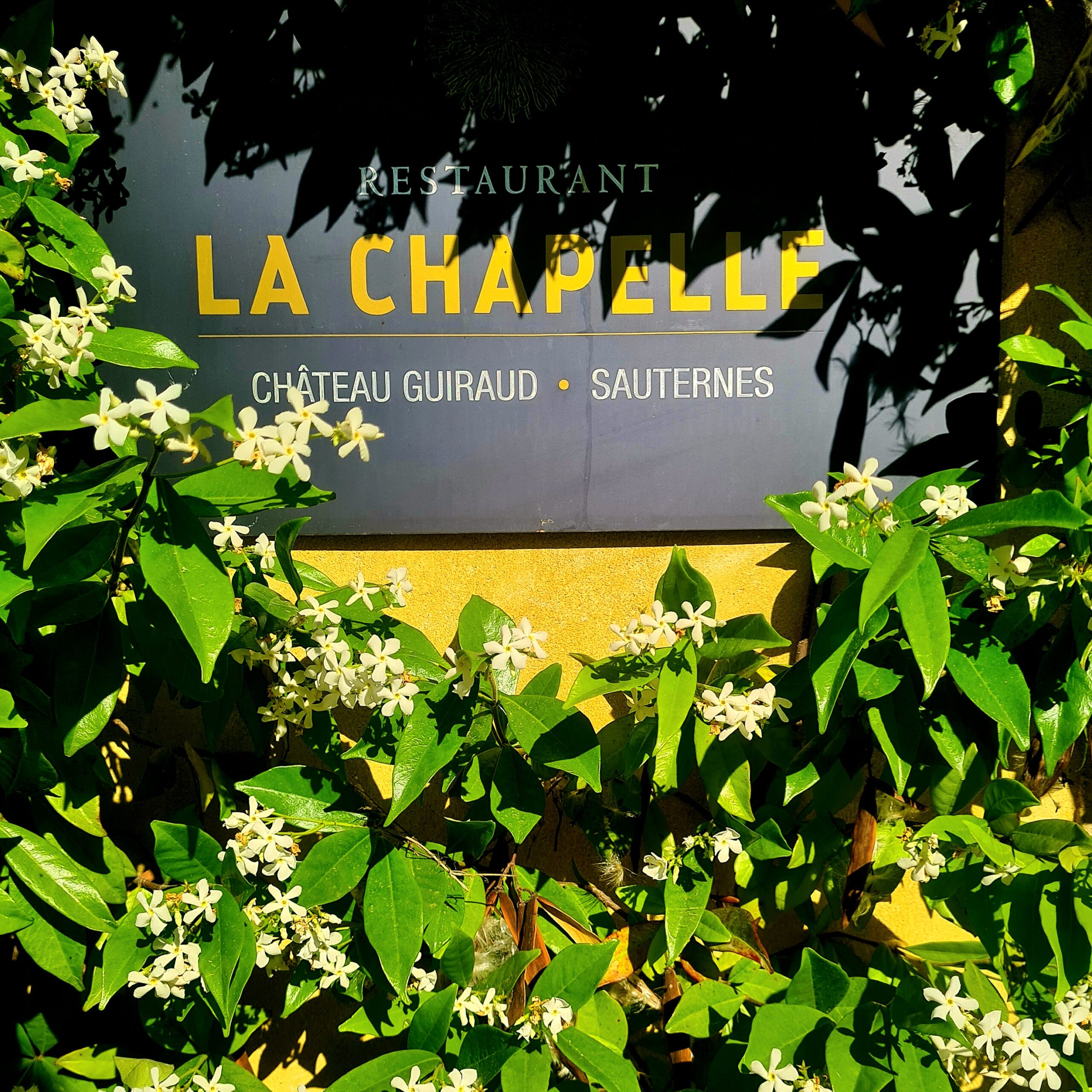 annonce du restaurant la chapelle de Guiraud. avec jasmin jaune