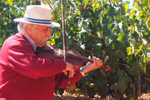 un violoniste joue pour ses vignes