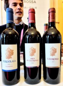 3 bouteilles de vins rouges italiens